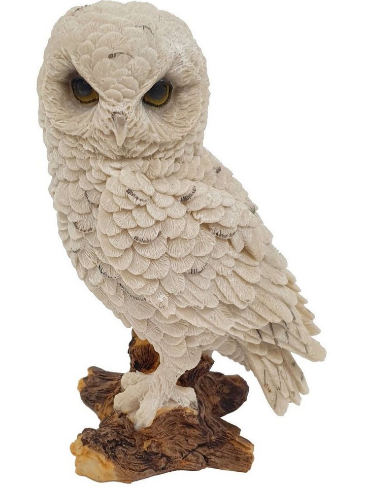 Figurendiscounter Gartenfigur Dekofigur Eule weiß 16 x 9 x 10 cm von Figurendiscounter