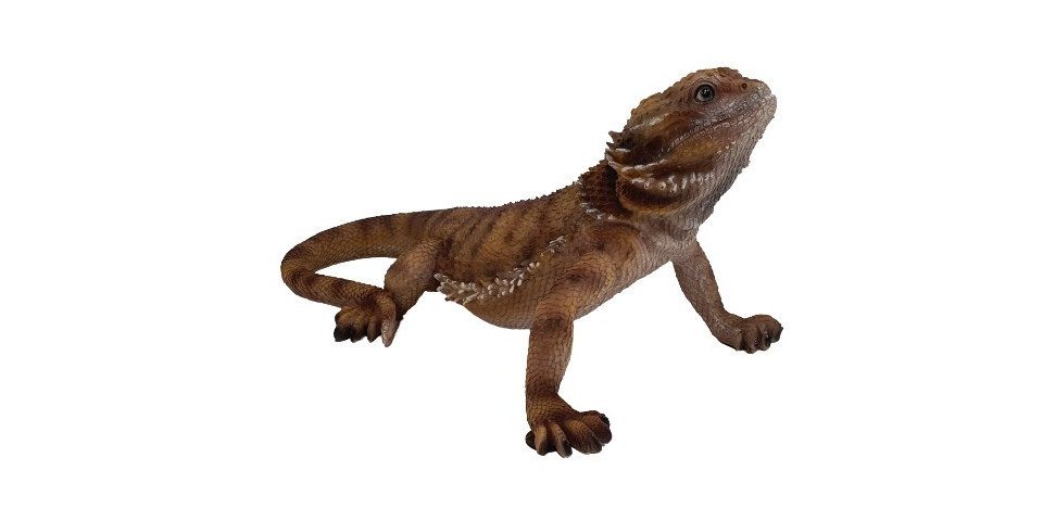 Figurendiscounter Gartenfigur Dekofigur Bartagame 34 x 20 cm braun von Figurendiscounter