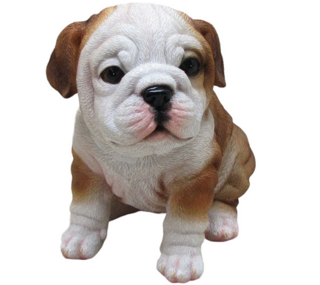 Figurendiscounter Gartenfigur Dekofigur Bulldogge sitzend 17 x 16 x 12 cm weiß Figurendiscounter Gartenfigur Dekofigur Bulldogge sitzend 17 x 16 x 12 cm weiß von Figurendiscounter