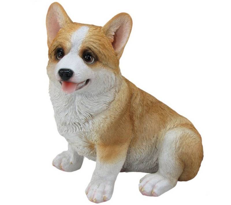 Figurendiscounter Gartenfigur Dekofigur Corgi sitzend 20 x 19 x 12 cm braun weiß Figurendiscounter Gartenfigur Dekofigur Corgi sitzend 20 x 19 x 12 cm braun weiß von Figurendiscounter