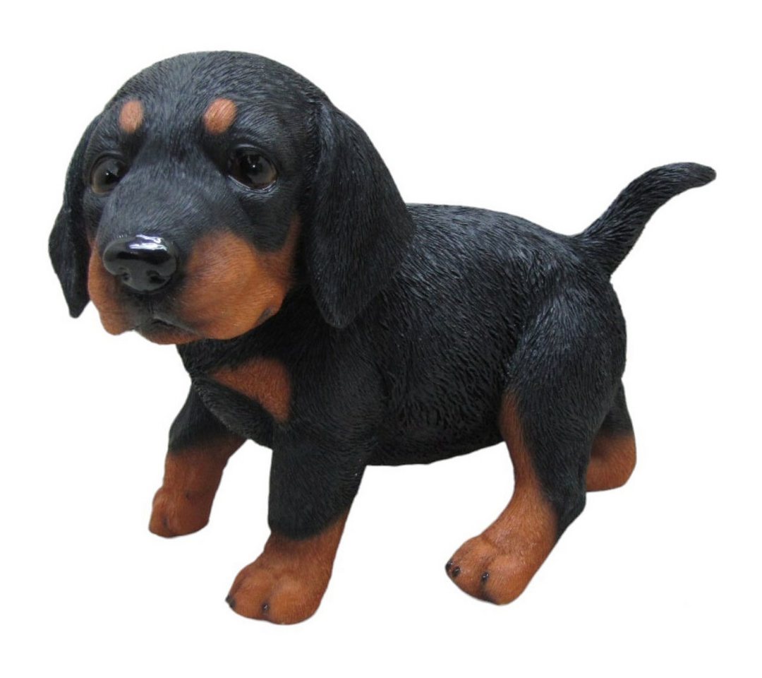 Figurendiscounter Gartenfigur Dekofigur Dackelwelpe stehend 22 x 18 x 13 cm Figurendiscounter Gartenfigur Dekofigur Dackelwelpe stehend 22 x 18 x 13 cm von Figurendiscounter
