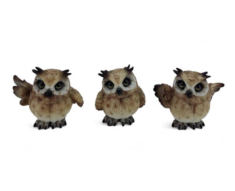 Figurendiscounter Gartenfigur Dekofigur Eule 8 x 10 x 5 cm braun 3-fach sortiert Figurendiscounter Gartenfigur Dekofigur Eule 8 x 10 x 5 cm braun 3-fach sortiert von Figurendiscounter