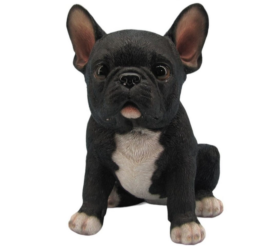 Figurendiscounter Gartenfigur Dekofigur Französische Bulldogge sitzend 18 x 10 x Figurendiscounter Gartenfigur Dekofigur Französische Bulldogge sitzend 18 x 10 x von Figurendiscounter