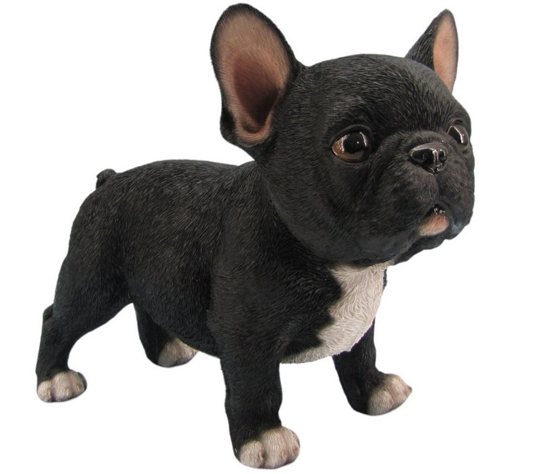 Figurendiscounter Gartenfigur Dekofigur Französische Bulldogge stehend 18 x 12 x Figurendiscounter Gartenfigur Dekofigur Französische Bulldogge stehend 18 x 12 x von Figurendiscounter