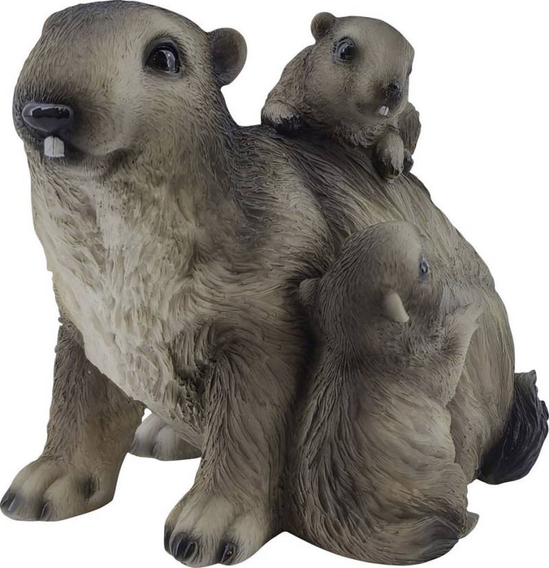 Figurendiscounter Gartenfigur Dekofigur Murmeltier 21 cm bunt Figurendiscounter Gartenfigur Dekofigur Murmeltier 21 cm bunt von Figurendiscounter