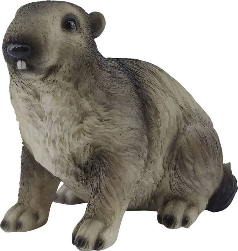 Figurendiscounter Gartenfigur Dekofigur Murmeltier 22 cm bunt Figurendiscounter Gartenfigur Dekofigur Murmeltier 22 cm bunt von Figurendiscounter
