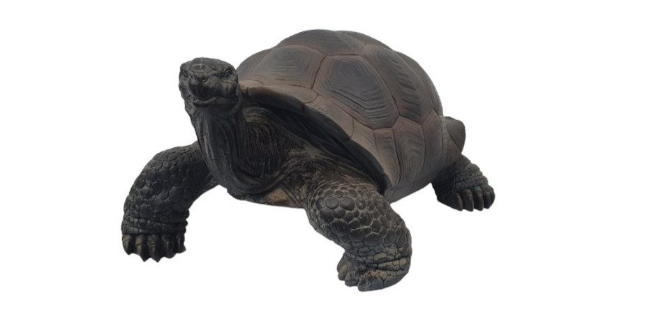 Figurendiscounter Gartenfigur Dekofigur Schildkröte groß 34 x 50 x 60 cm von Figurendiscounter