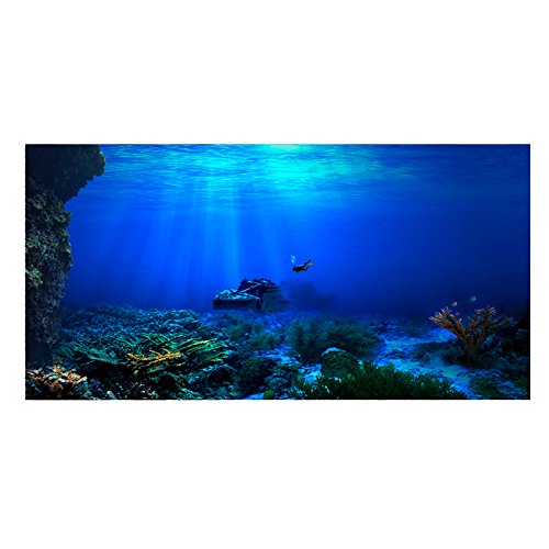 FILFEEL Aquarium Hintergrund Aquarium Dekorationen Bilder 3D Effekt PVC Adhesive Poster Unterwasserwelt Hintergrund Dekoration Papier Cling Decals Aufkleber(91x41cm) von FILFEEL