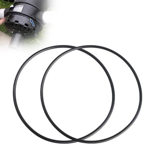 2er-Pack GMX600F O-Ring Ersatz für Hayward Sandfilter Ventilkopfdichtung - passend für S140T bis S244T, SP071620T Multiportventil, MaxFlo XL, SwimPro, SandMaster Systems von Filloman