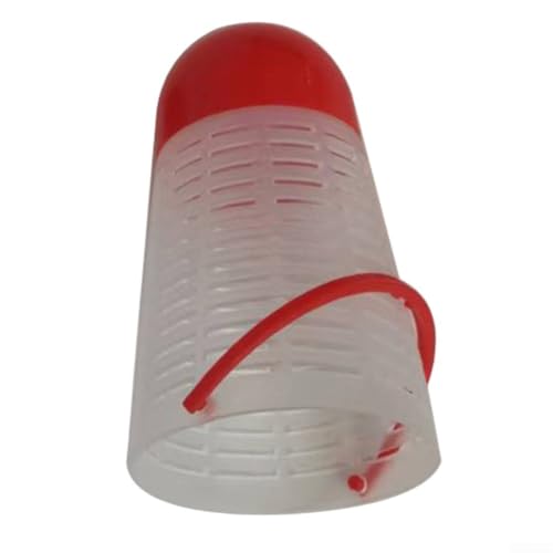 50 Stück Angelfallen Köderkäfig mit schwimmendem Futterhalter für effektive Köderverteilung während Angelausflügen im Freien (mittelweiß) von Filteilect