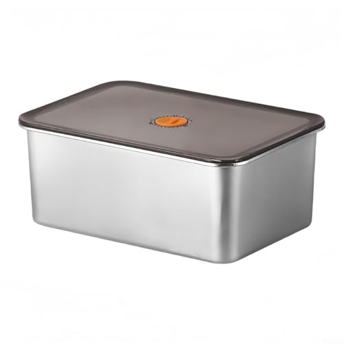Filteilect Edelstahl-Frischhaltedose mit Deckel, rechteckige Käse-Aufbewahrungsbox, Deli-Behälter, Kühlschrank-Gefrierschrank-Organizer, für kaltes Fleisch (30 x 21 x 12 cm) von Filteilect