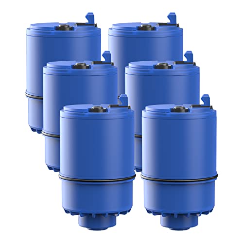 FilterLogic RF 9999 Wasserfilter, kompatibel mit Pur RF-9999 Wasserhahn-Ersatz-Wasserfilter (6 Stück) von Filterlogic