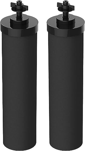 Filterlogic NSF/ANSI 372 zertifizierter Wasserfilter, Ersatz für Berkey® BB9-2 Black Purification Elements und Berkey® Gravity Filter System, Waterdrop King Tank Gravity-fed System, 2 Stück von Filterlogic