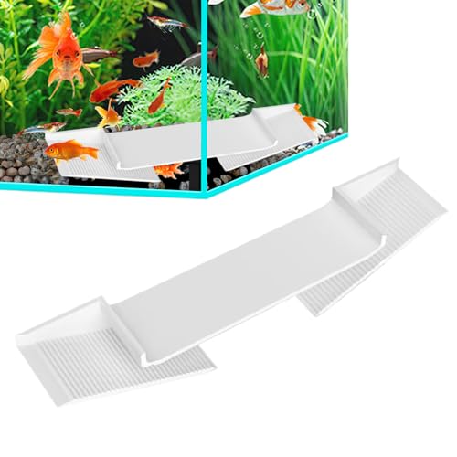 Filvczt Aquariumhöhle, stabiler Aquarium-Tunnel, Unterschlupf | großer Kuppellebensraum mit dreieckigem Kurvenloch, unterirdische Terrasse für Krebse, Schmalen, Buntbarsche, Reptilien Filvczt Aquariumhöhle, stabiler Aquarium-Tunnel, Unterschlupf | großer Kuppellebensraum mit dreieckigem Kurvenloch, unterirdische Terrasse für Krebse, Schmalen, Buntbarsche, Reptilien von Filvczt