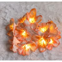 Lichterkette Handgefiltze Blumen Annabell von FilzAnita