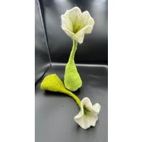 Eierwärmer - Blume Set Eierwärmer - Blume Set von Filzmobil