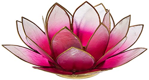 Find Something Different Lotus Teelichthalter Capiz-Muschel – Hellrosa von Find Something Different