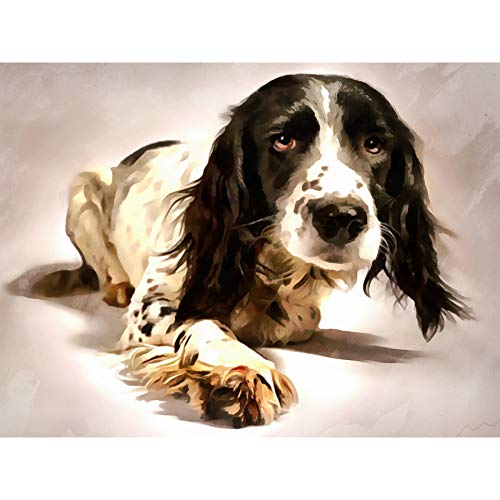 Kunstdruck auf Leinwand, Motiv Springer Spaniel, groß von Fine Art Prints