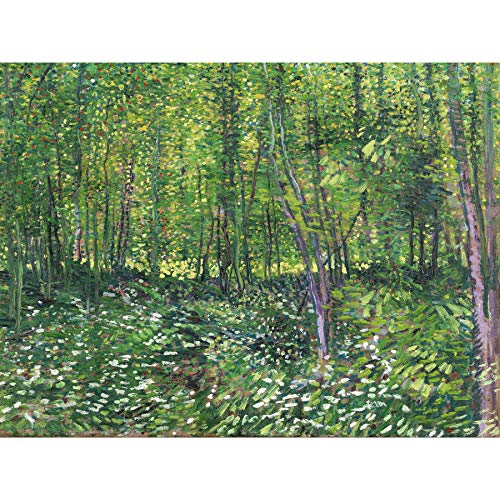 Vincent Van Gogh Bäume und Unterwuchs Extragroßer Kunstdruck Wandbild Poster Premium XL von Fine Art Prints