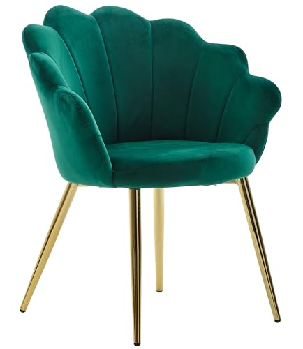 FineBuy Esszimmerstuhl Tulpe Samt Gepolstert, Küchenstuhl mit Goldfarbenen Beinen, Schalenstuhl Skandinavisches Design, Polsterstuhl mit Stoffbezug von FineBuy Möbel zum Wohlfühlen