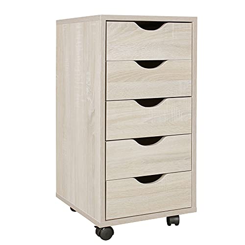 FineBuy Kinder Rollcontainer 33 x 64 x 38 cm Holz 5 Schubladen, Moderner Schubladencontainer mit Rollen, Standcontainer Bürocontainer, Rollwagen Kinderzimmer, Container Aufbewahrungsschrank von FineBuy Möbel zum Wohlfühlen