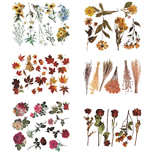 FineInno 48 Stücke Blumen Harz Aufkleber Flowers Resin Stickers Silikonform Epoxidharz Füllmaterial Transparent Aufkleber für Scrapbooking Journaling FineInno 48 Stücke Blumen Harz Aufkleber Flowers Resin Stickers Silikonform Epoxidharz Füllmaterial Transparent Aufkleber für Scrapbooking Journaling von FineInno