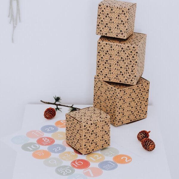 Fines Papeterie 24 Schachteln für Adventskalender und Zahlen PASTELL von Fines Papeterie