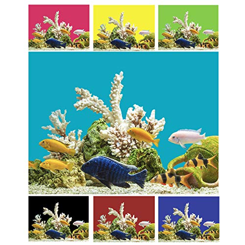 1 Meter Aquarium Terrarium Hintergrundfolie Rückwand Hintergrund Folie Selbstklebend Zuschnitt Einfarbig Poster Zubehör (60 cm, Mint) von Finest Folia