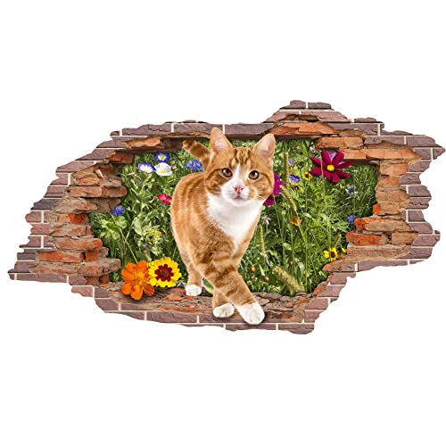 3D Wandtattoo Mauerloch 1 x 0,53 m Wandsticker Wandaufkleber Mauerdurchbruch realistisch selbstklebend Kinderzimmer Schlafzimmer Wohnzimmer Bad W009 (04 Katze) von Finest Folia