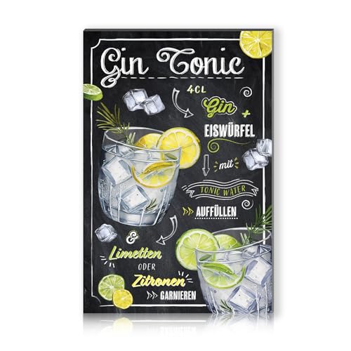 Cocktail Rezepte 20x30cm Alu Schild Deko Metallschild Dekoration für Bar Theke Pub Küche Cafe Geburtstag Geschenk Rezept RV003 (13 Gin Tonic) von Finest Folia