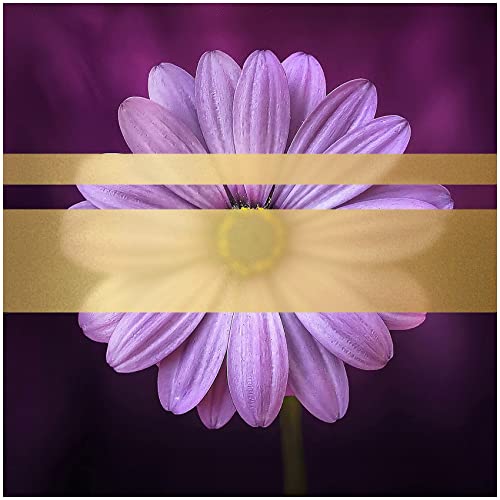 Milchglasfolie 8510 Etched Glass Cal fein Frosted Folie Sichtschutz Bastelfolie Selbstklebend Plotterfolie Plottfolie Fenster Glas (100 cm (Meterware), Gold) von Finest Folia