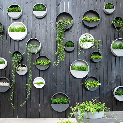 Finestgreen Hanging Wally Pflanzgefäß Grau | Wandgefäß zum bepflanzen (XS Ø:30 T:7 cm, Grau) | Pottery Pots von Finestgreen