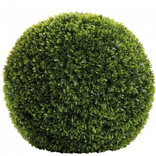 Fink BUCHSKUGEL/Buxus,grün/D.50cm von Fink