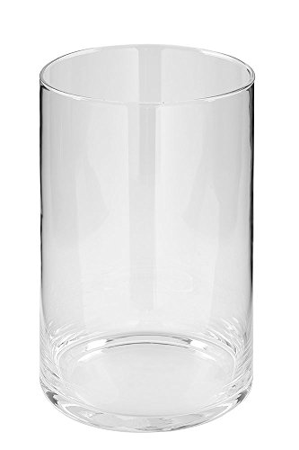 Fink - Glaszylinder für Gorden, Rodin & Wave - Höhe 18 Ø 12 cm von Fink