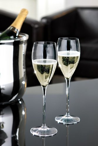 Fink Salvador Champagnerglas,GV H.26cm,D.7,3cm,320ml Fink Salvador Champagnerglas,GV H.26cm,D.7,3cm,320ml von Fink