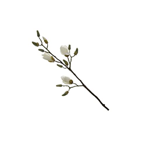 Fink - künstlicher Magnolienzweig Weiss - Kunstfaser - Farbe: Natur - Höhe 82 cm von Fink