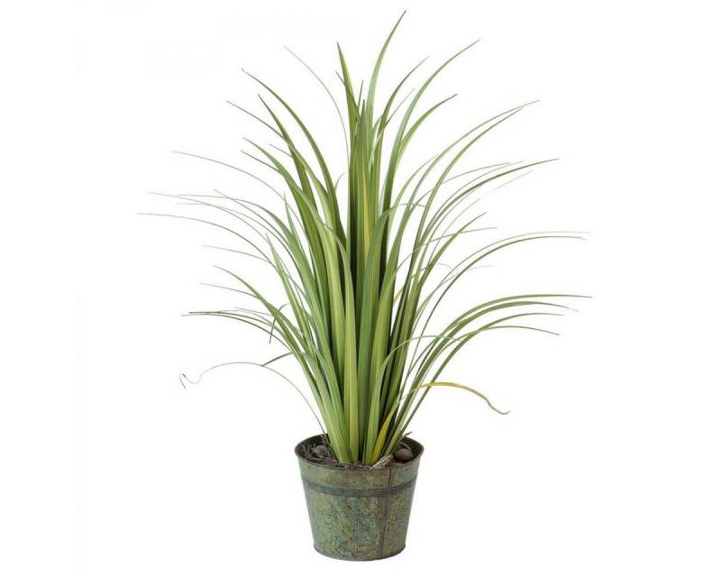 Künstliche Zimmerpflanze künstliche Pflanze Gras im Topf (90cm), Fink von Fink