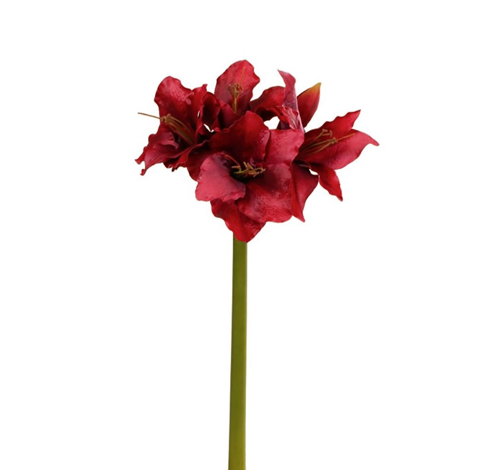 Kunstpflanze FINK Kunstblume Amaryllis - dunkelrot - H. 0cm, Fink von Fink
