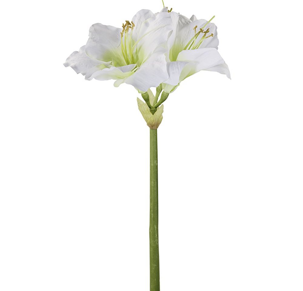 Kunstpflanze FINK Kunstblume Amaryllis - weiß - H. 1cm x B. 15cm, Fink von Fink