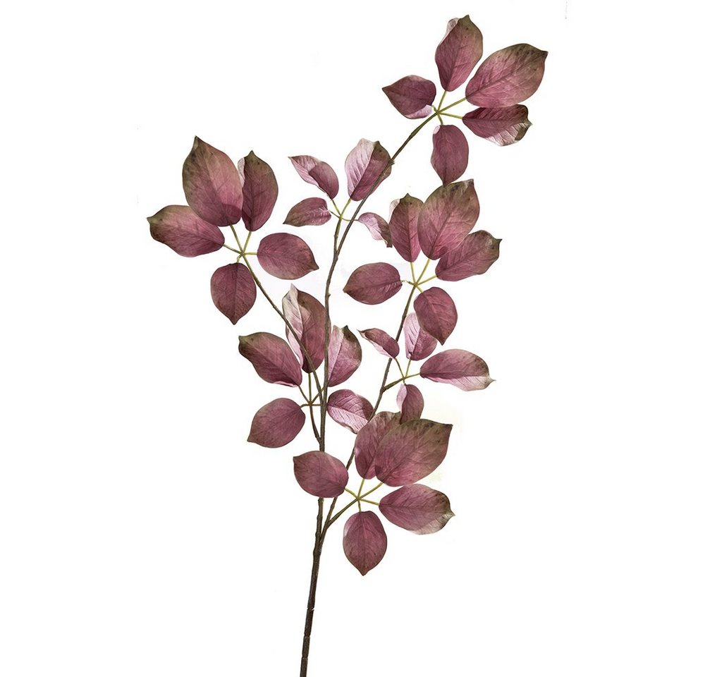 Kunstpflanze »FINK Kunstblume Blätterzweig - dunkelpink-grün - H. 0cm«, Fink von Fink