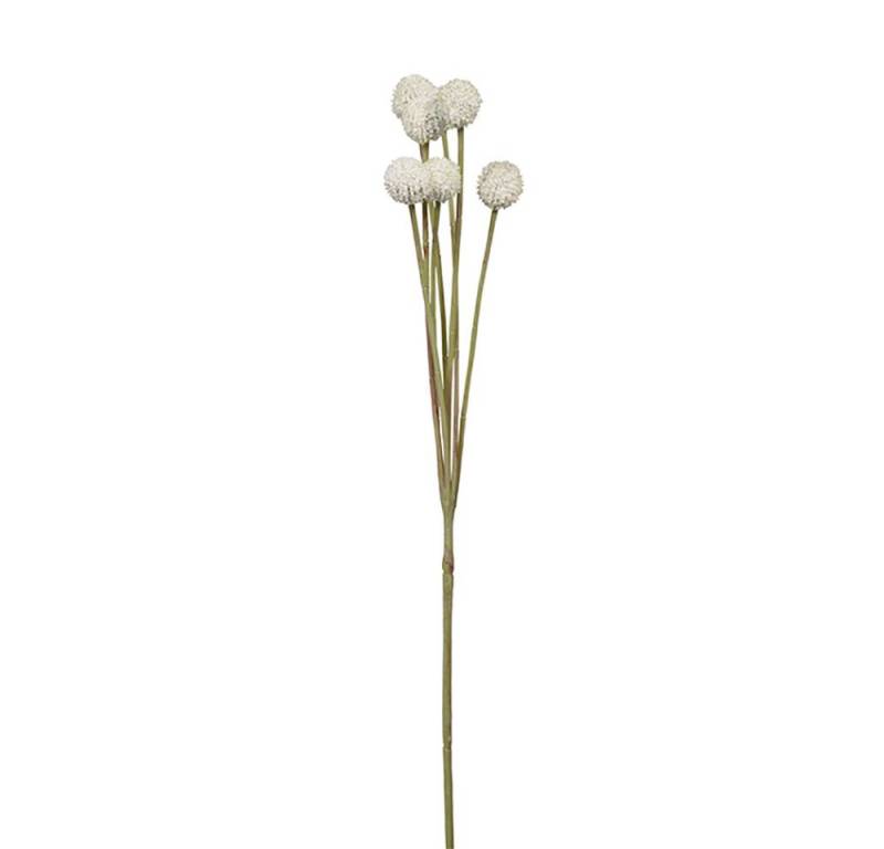 Kunstpflanze FINK Kunstblume Craspedia - creme - H. 60cm x B. 10cm, Fink von Fink
