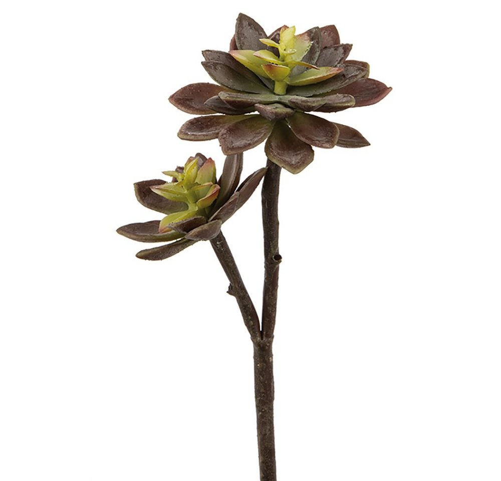 Kunstpflanze FINK Kunstblume Echeverie - grün-rot - H. 32cm, Fink von Fink