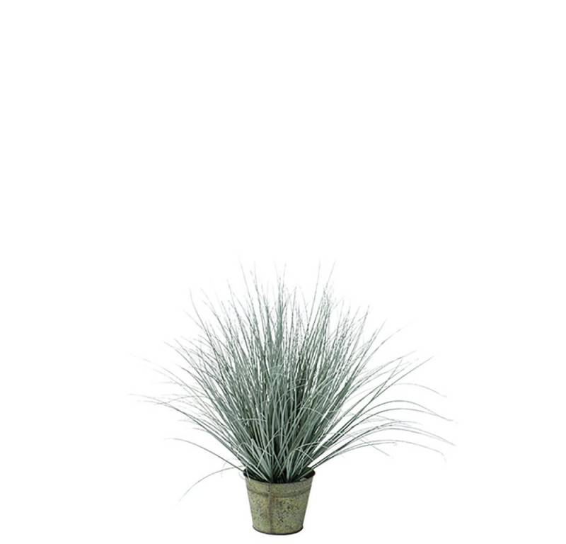 Kunstpflanze FINK Kunstblume Gras - dunkelgrün - H. 63cm, Fink von Fink
