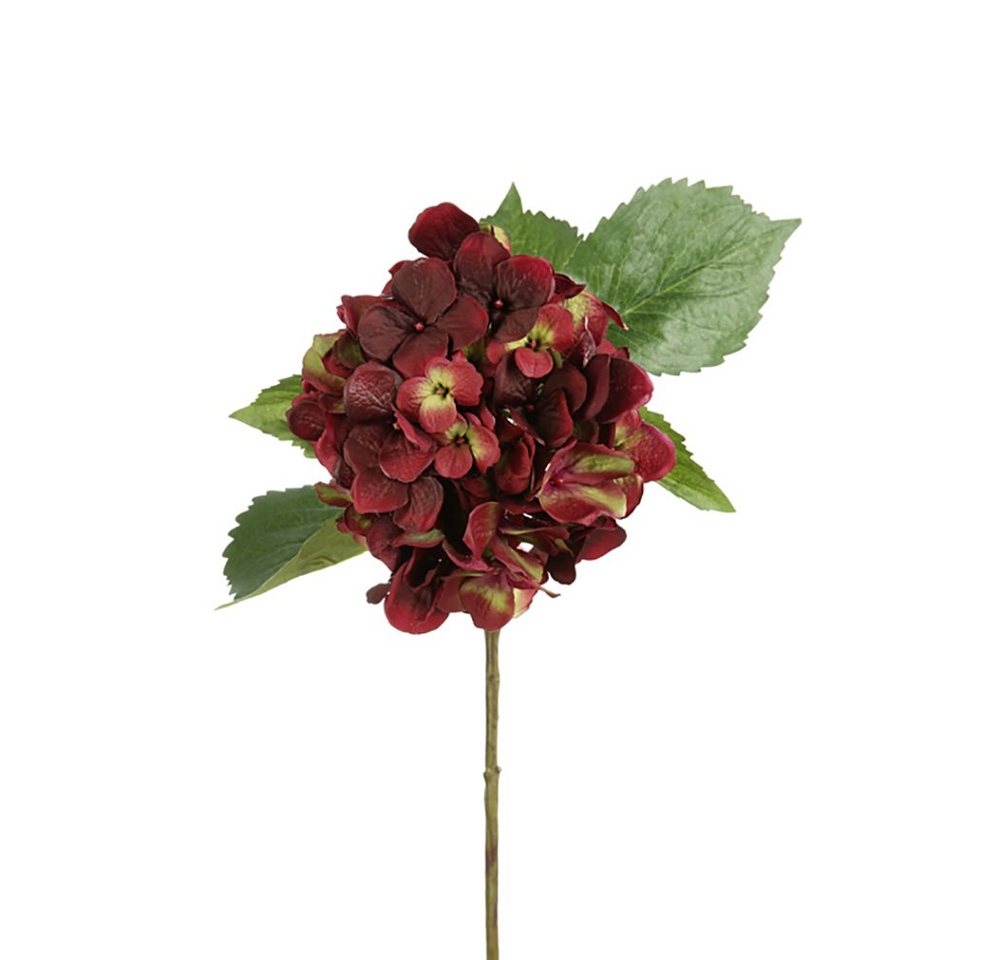 Kunstpflanze FINK Kunstblume Hortensie - aubergine-grün - H. 0cm, Fink von Fink