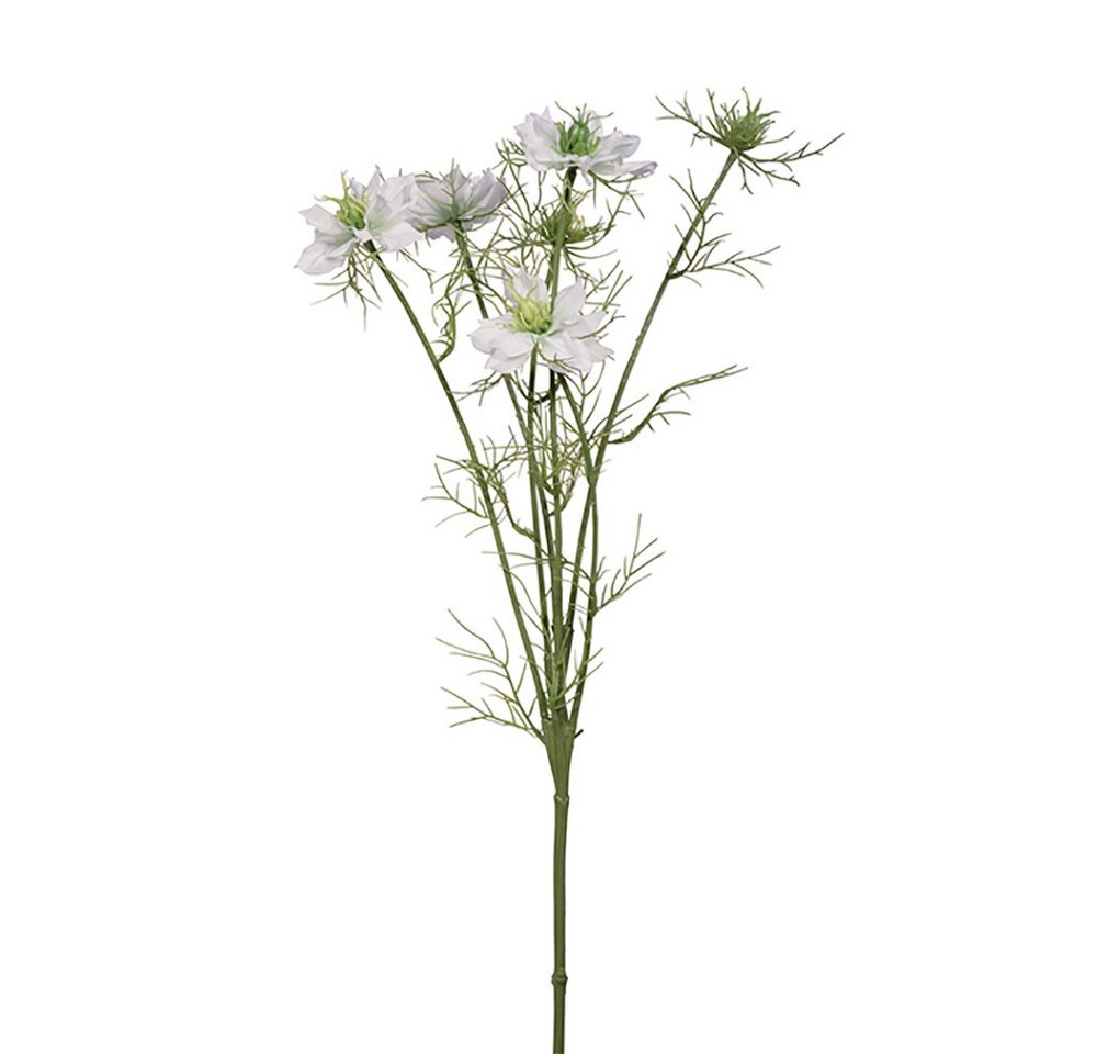 Kunstpflanze FINK Kunstblume Nigella - creme - H. 66cm x B. 10cm, Fink von Fink