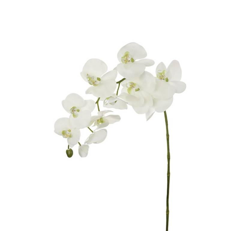 Kunstpflanze FINK Kunstblume Orchidee - weiß - H. 0cm, Fink von Fink