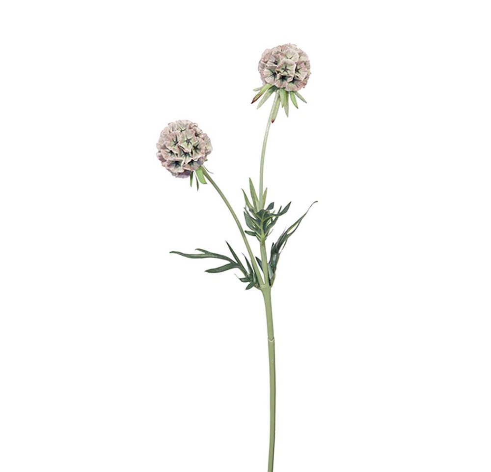 Kunstpflanze FINK Kunstblume Scabiosa - hellgrün-rose - H. 55cm x B. 10cm, Fink von Fink