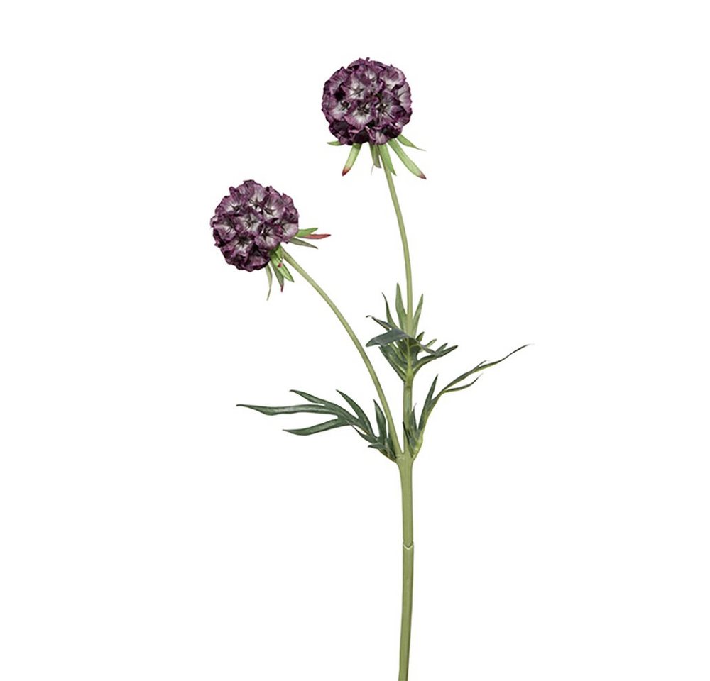 Kunstpflanze FINK Kunstblume Scabiosa - lila - H. 55cm x B. 10cm, Fink von Fink