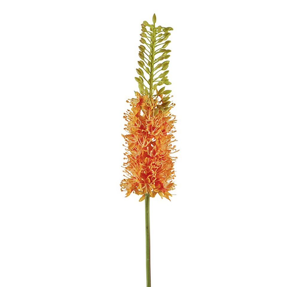 Kunstpflanze FINK Kunstblume Steppenkerze - orange - H. 87cm, Fink von Fink