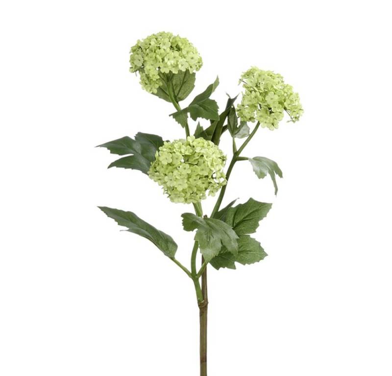 Kunstpflanze FINK Kunstblume Schneeball - grün - H. 0cm, Fink von Fink